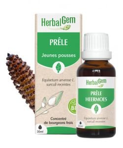 Prêle (Equisetum arvense) bourgeon BIO, 30 ml